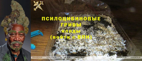 2c-b Гусиноозёрск