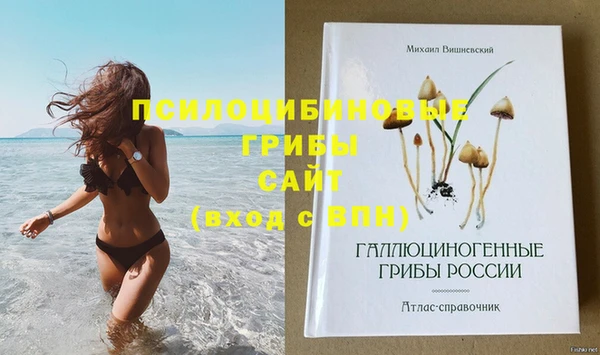 кокаин Гусь-Хрустальный