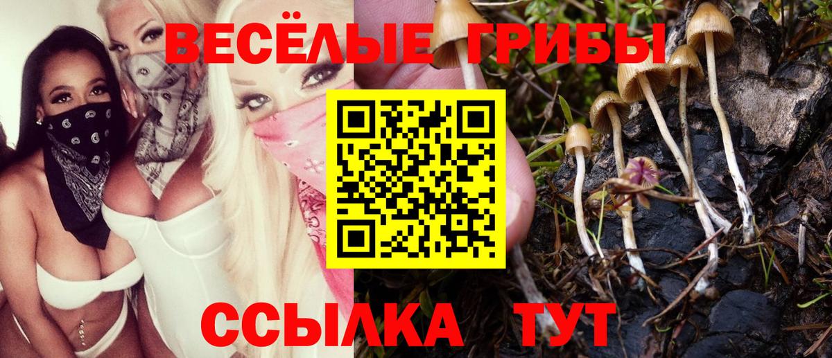 Уфа  Псилоцибиновые грибы Psilocybine cubensis  Галлюциногенные грибы Psilocybine cubensis  Вход с VPN 